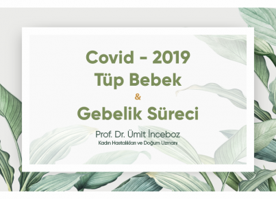 Coronavirus (Covid - 2019), IVF and Pregnancy Process