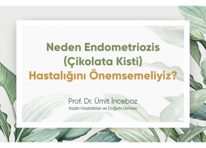 Why Should We Care About Endometriosis?