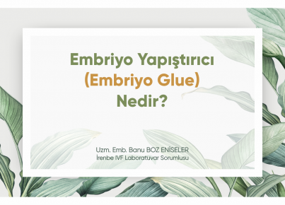 What is Embryo Glue?