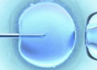 From the IVF Laboratory: What You Wonder About