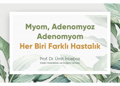 Myoma, Adenomyosis, Adenomyoma. Each is a Different Disease!