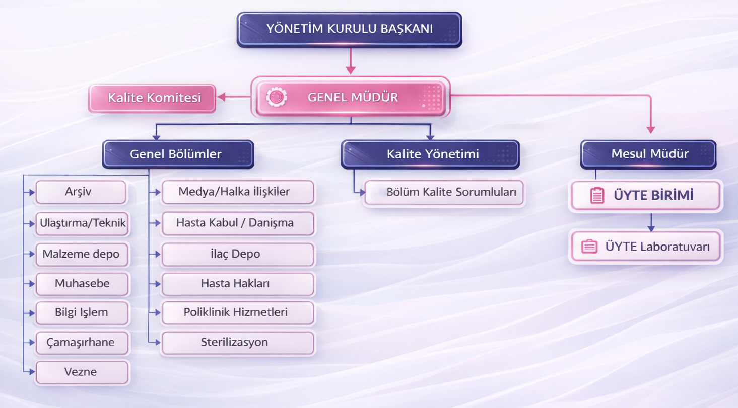 Organizasyon Yapı Şeması