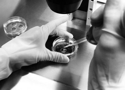 Embryo Freezing–Thawing: New Opportunities Brought by Advances in Technique